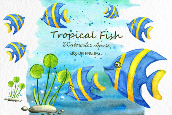 Animal Clip Art Fish Watercolor Animal: Infusing Designs with Aquatic Charm