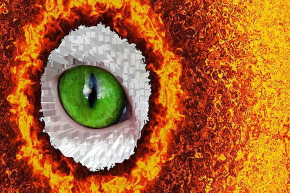 Bird Eye Animal Fire Circle Background: Bold Graphics for Your Brand