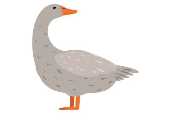 Exploring the Goose Color Icon Farm Animal Poultry S Asset