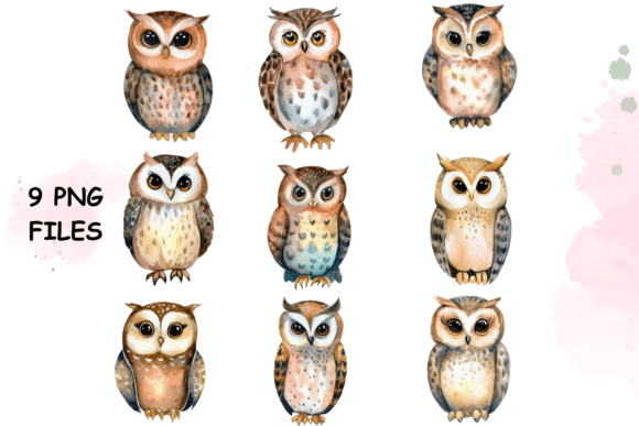 Owl Watercolor Animal Clipart Vol: 1: A Designer's Guide