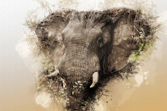 Printable Animal Graphics #19: Your Instant Design Asset