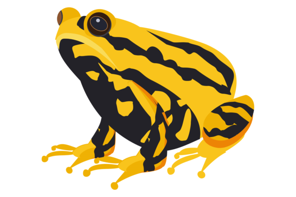 The Exotic Toad: A Bold Yellow & Black Tropical Typeface