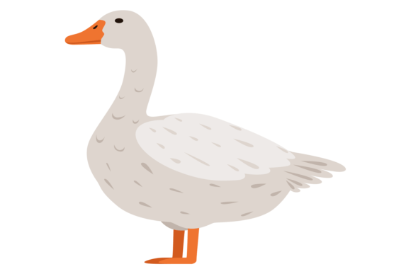 The White Farm Goose: A Charming Asset for Modern Designers