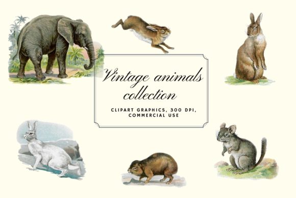 Timeless Charm: The Antique Animal Clipart Set, Elephant