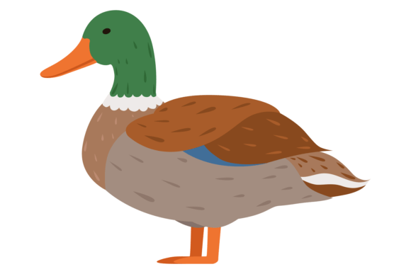 Understanding Duck Color Icon: A Farm Bird & Wild Animal Asset